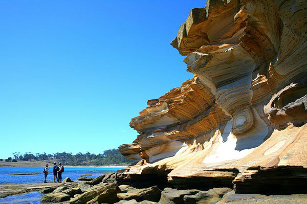 Maria Island Tour