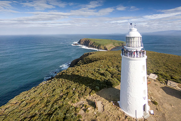 Bruny Island Tour