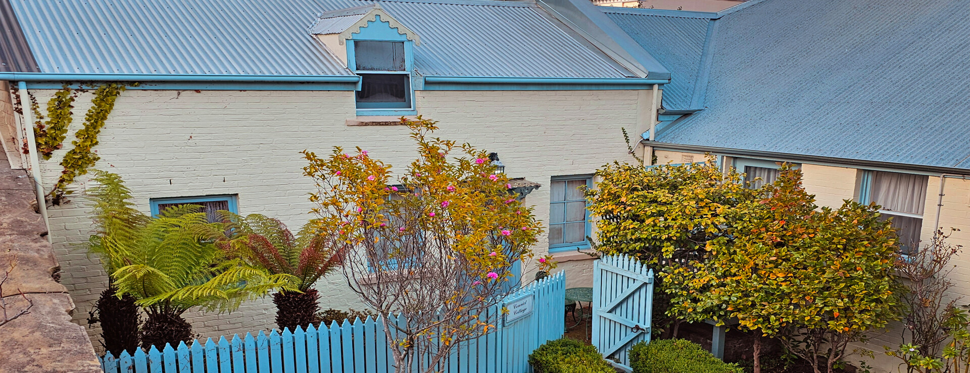The Lodge on Elizabeth